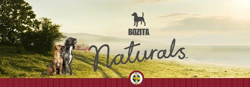 BOZITA